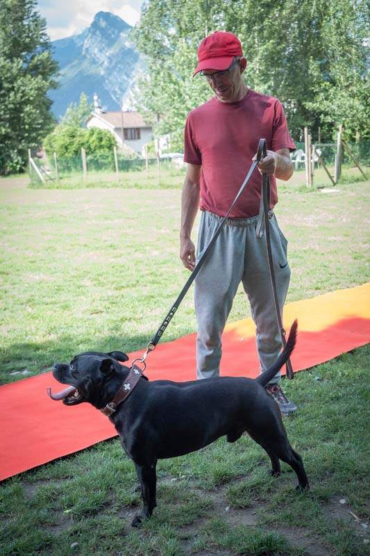 Centre de dressage canin Grenoble