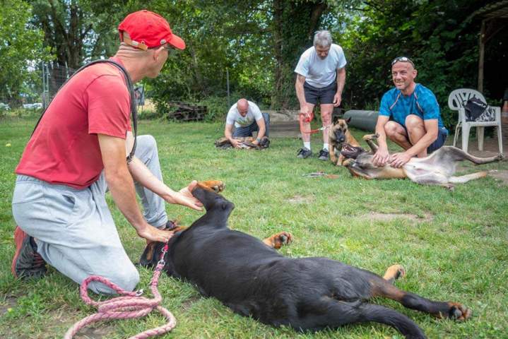 Dresseur de chiens Grenoble