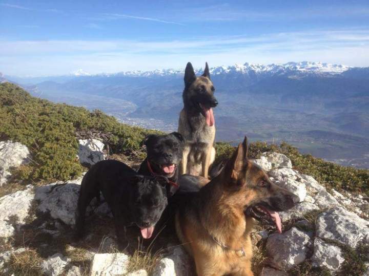 École canine Grenoble