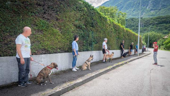 Éducation canine Grenoble