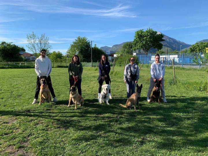 Éducation canine Grenoble