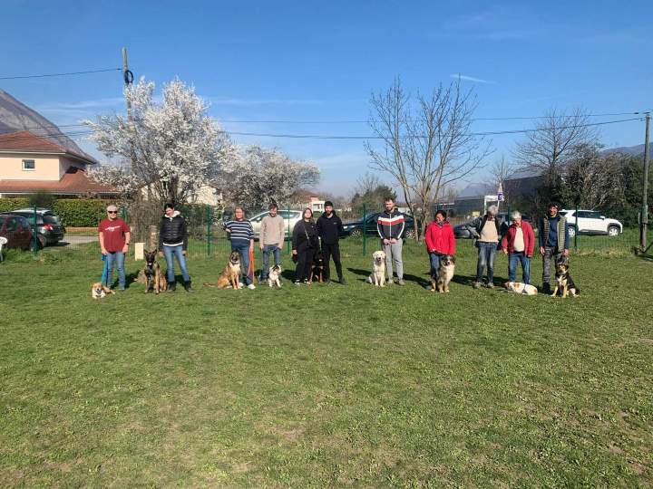 Éducation canine Grenoble