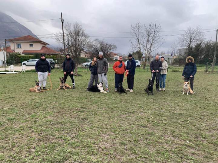 Éducation canine Grenoble