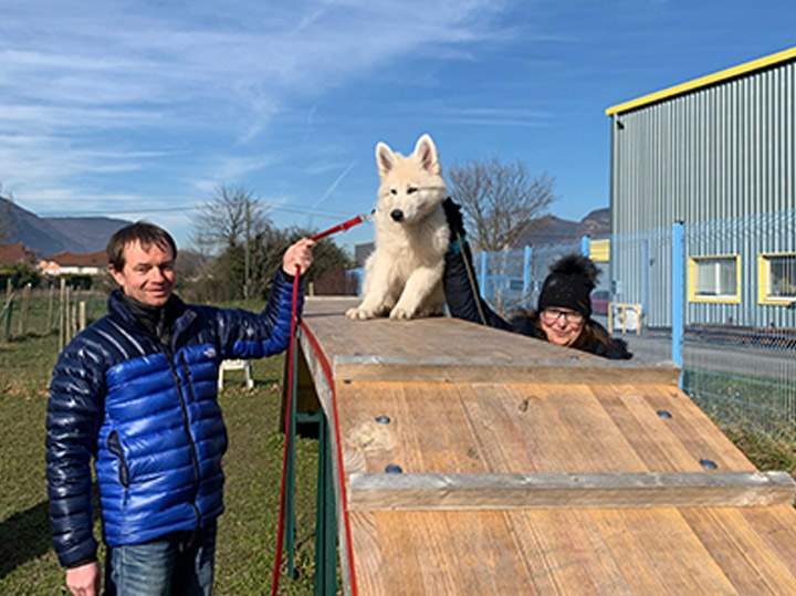Éducation canine Grenoble