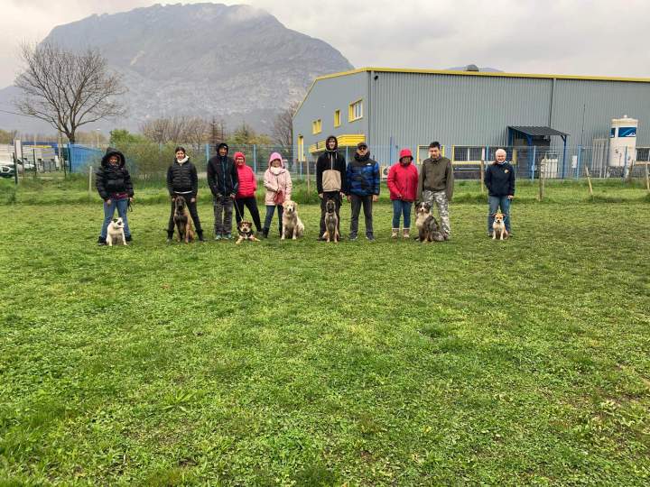 Éducation canine Grenoble