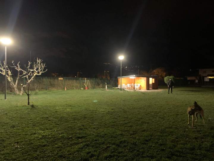 Éducation canine Grenoble