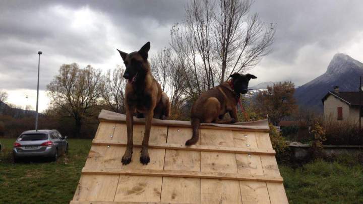 École canine Grenoble