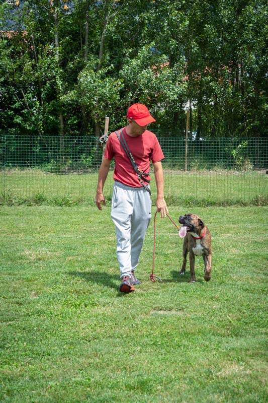 Dresseur de chiens Grenoble