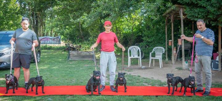 Dresseur de chiens Grenoble