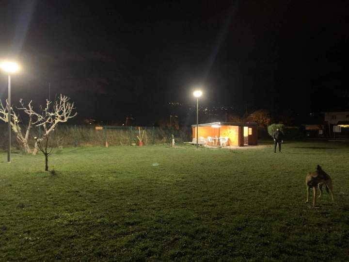 Éducation canine Grenoble