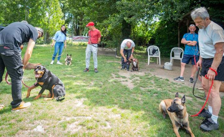 Dresseur de chiens Grenoble