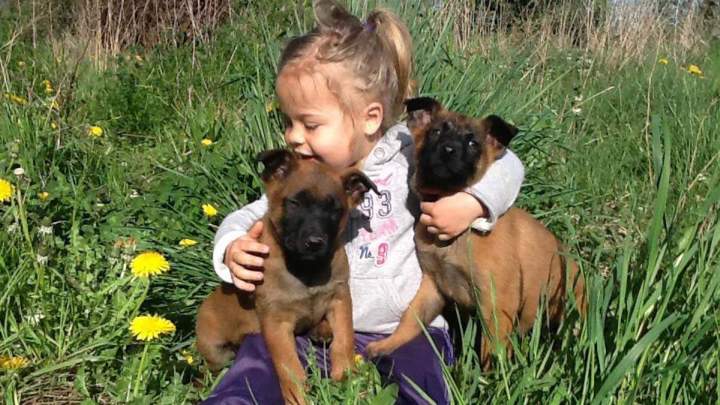 École canine Grenoble